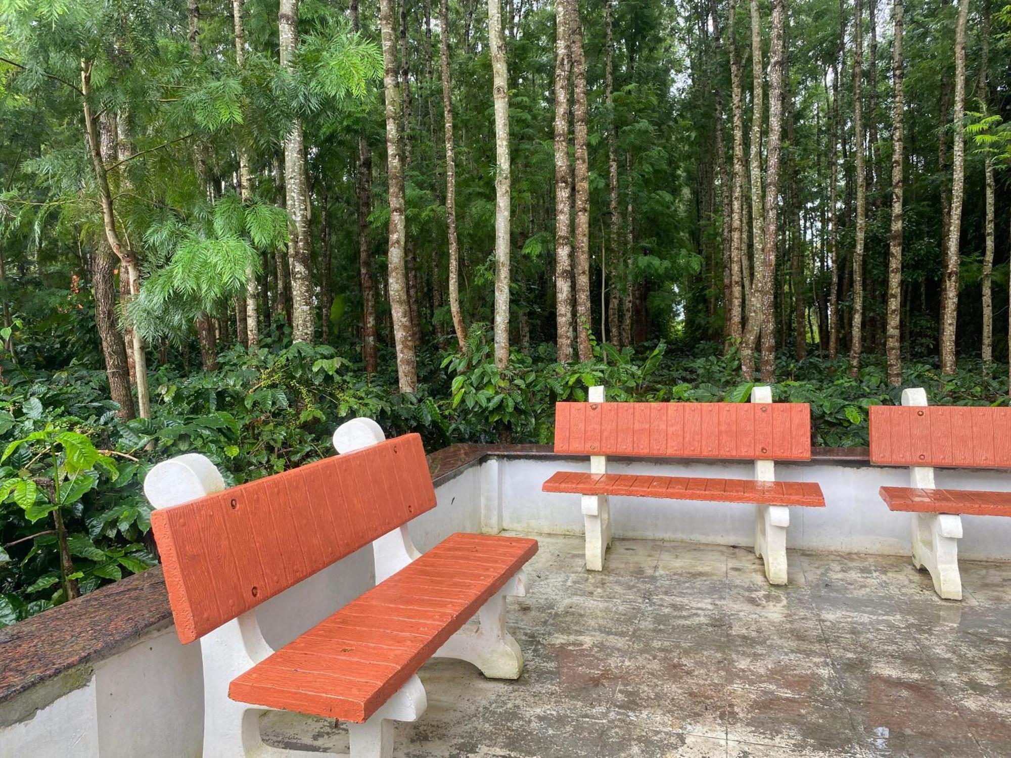 Bougain Villa Chikmagalūr Exteriér fotografie